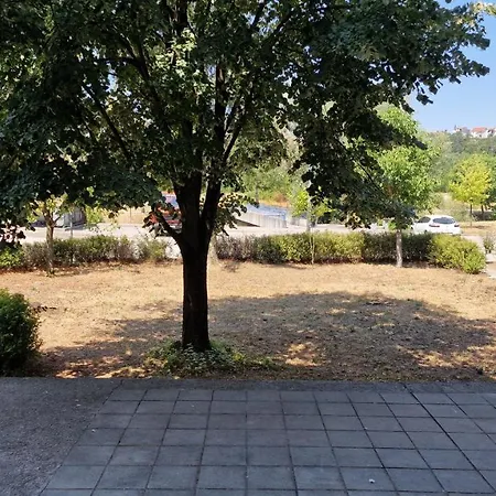 Wellness Black-white *